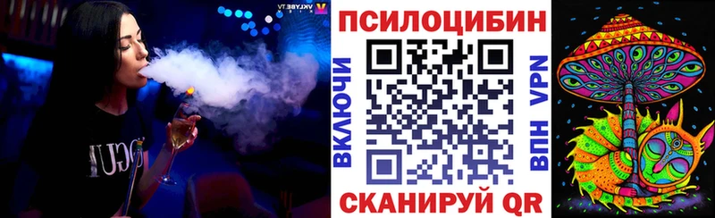 Галлюциногенные грибы Psilocybine cubensis  Купить где  Данилов 